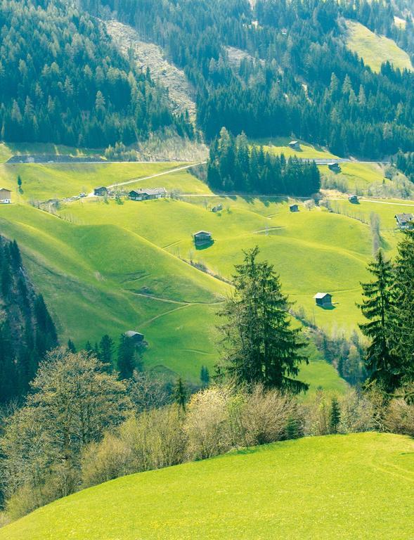 Schoesserhof Zell am Ziller Exterior foto